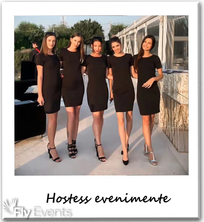 Hostess conferințe internaționale cu sistem de raportare