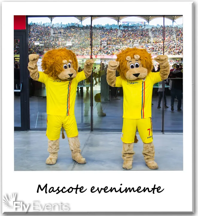 Hostess Fly Events – eveniment BTL