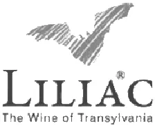 Logo partener Fly Events