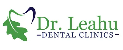 Logo Leahu – partener Fly Events